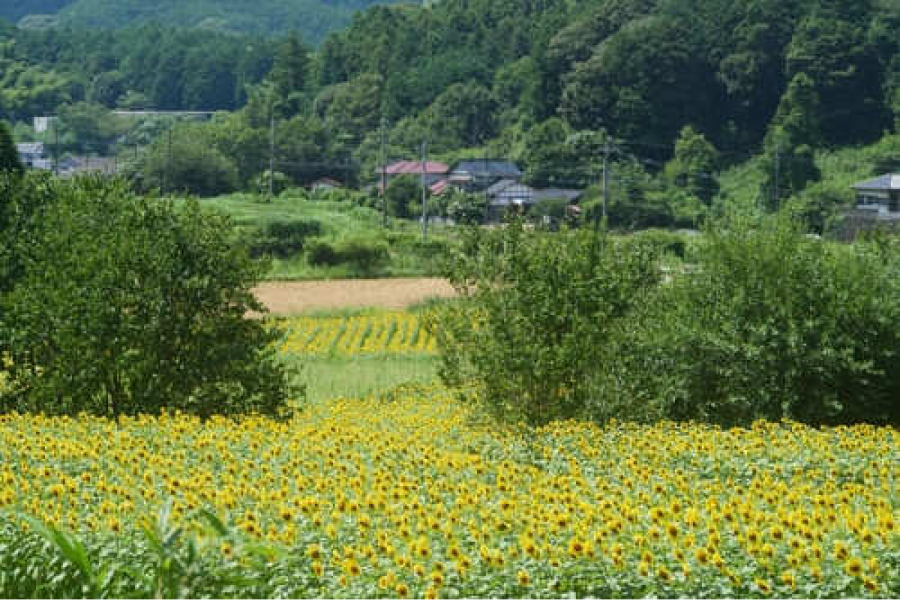 地域密着だから価格も動き方も読みやすい